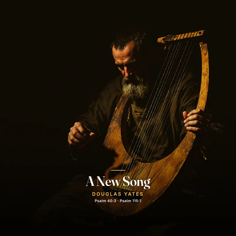 A New Song cover art