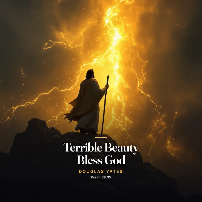 Terrible Beauty (Bless God) cover art
